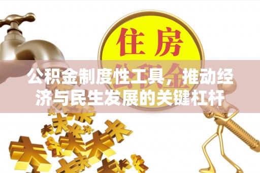 普兰公积金制度性工具，推动经济与民生发展的关键杠杆
