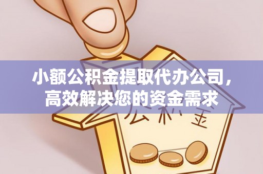 普兰小额公积金提取代办公司，高效解决您的资金需求