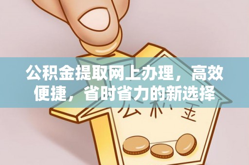 普兰公积金提取网上办理，高效便捷，省时省力的新选择