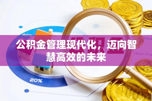 普兰公积金管理现代化，迈向智慧高效的未来