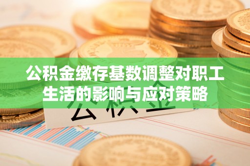 普兰公积金缴存基数调整对职工生活的影响与应对策略