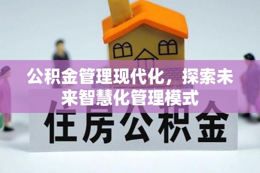 普兰公积金管理现代化，探索未来智慧化管理模式