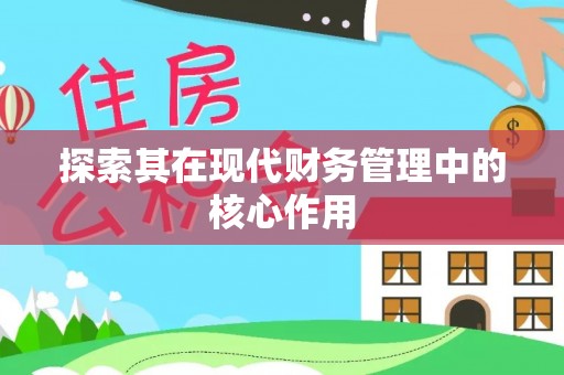 普兰探索其在现代财务管理中的核心作用