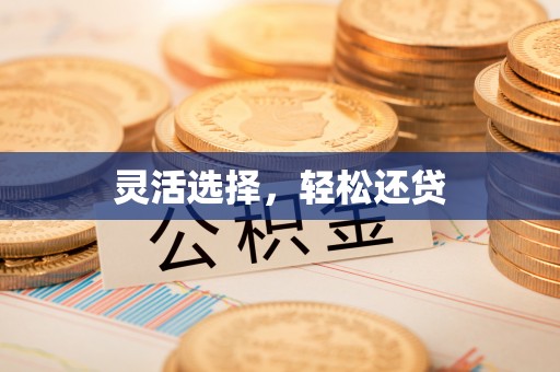 普兰灵活选择，轻松还贷